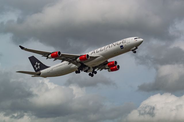 Airbus A340-300 (OY-KBM)