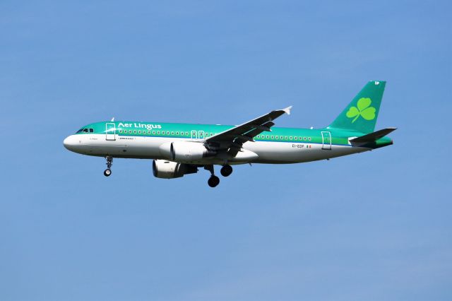 Airbus A320 (EI-DEP)