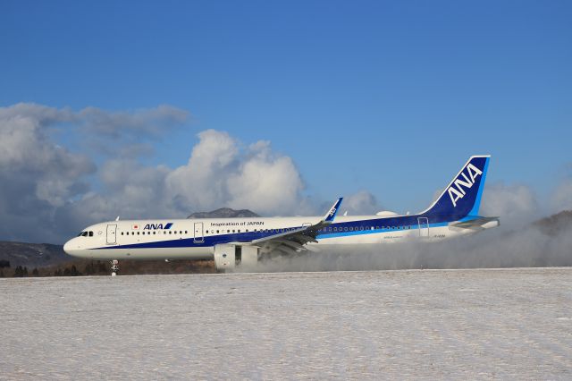 Airbus A321 (JA148A) - December 26th 2021:HND-HKD.