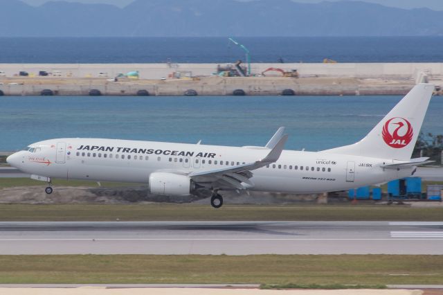 Boeing 737-800 (JA11RK)