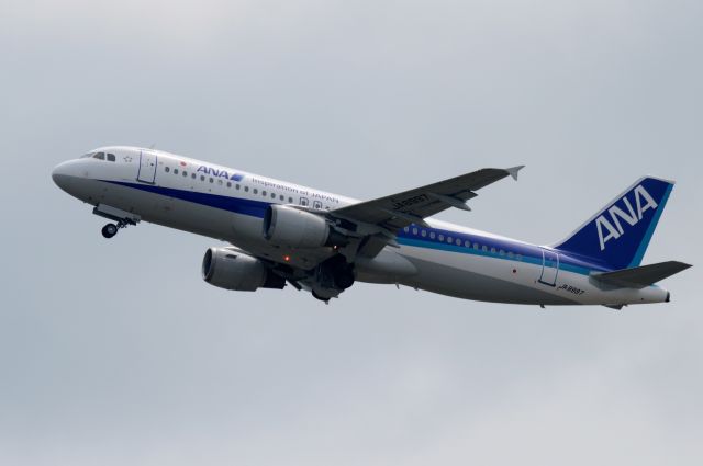 Airbus A320 (JA8997) - JA8997  Airbus A320-211  c/n:658 L/N:---  All Nippon Airways - NH/ANA : 2014/08/09