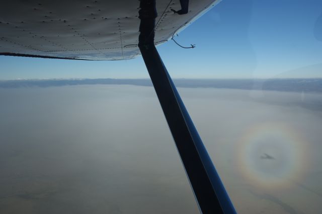 Cessna 170 (N58D) - Cruise Altitiude, shadow of a/c lower right