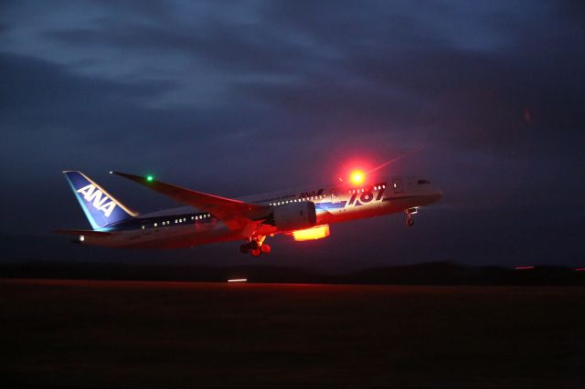 Boeing 787-8 (JA824A) - 12 August 2015:HKD-HND.