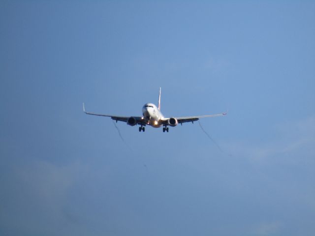 Boeing 737-800 (VH-YIS)