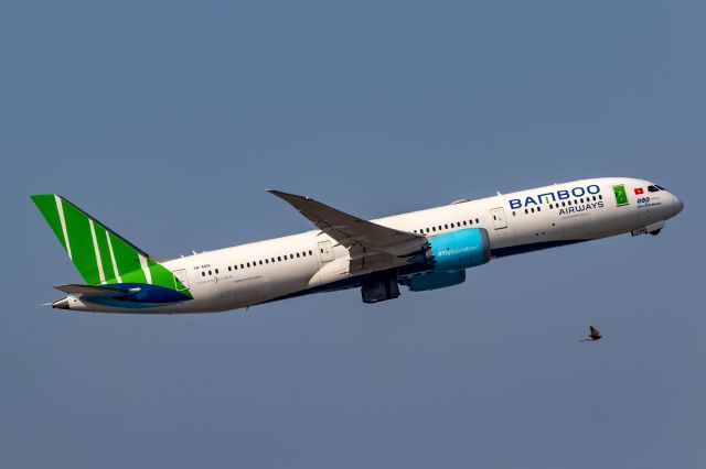 Airbus A321 (VN-A818)