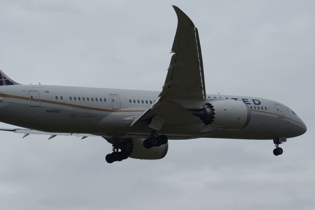 Boeing 787-8 (N45905) - United Airlines B787-8 Dreamliner cn34825