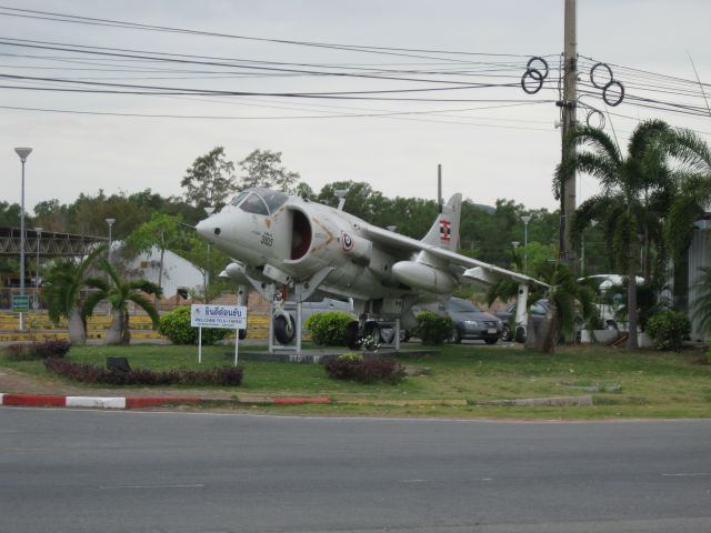 — — - Thai Harrier on a stick