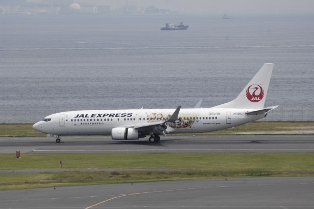 Boeing 737-800 (JA329J) - Landing at Haneda Intl Airport Rwy34R on 2013/05/16 "No-4 JAL Happiness Express"