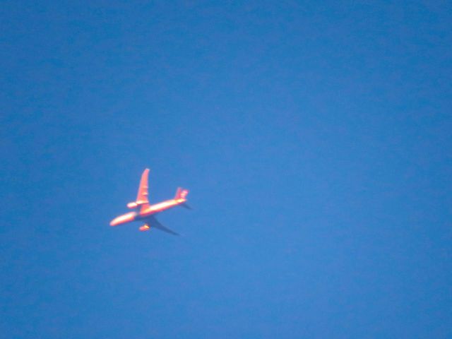 Boeing 787-8 (N816AA)