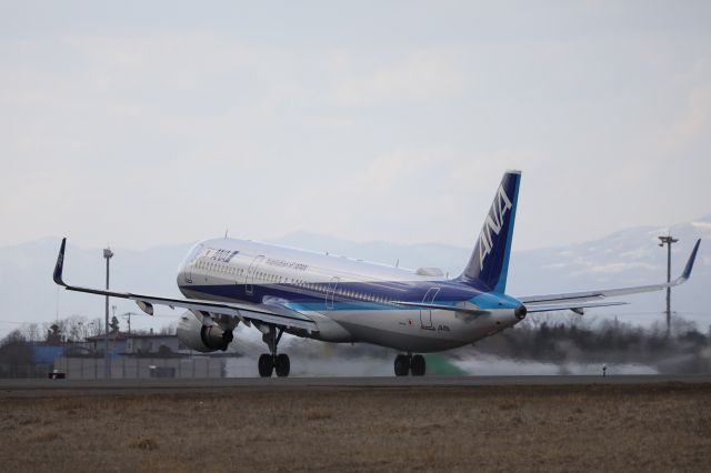 Airbus A321 (JA111A) - 09 April 2107:HKD-HND.