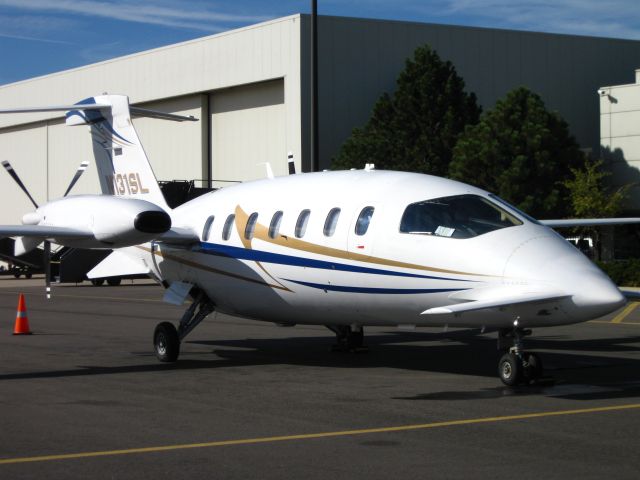 Piaggio P.180 Avanti (N131SL)