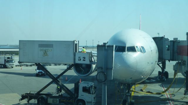 BOEING 777-300ER (TC-JJH) - Just arrived from Chicago