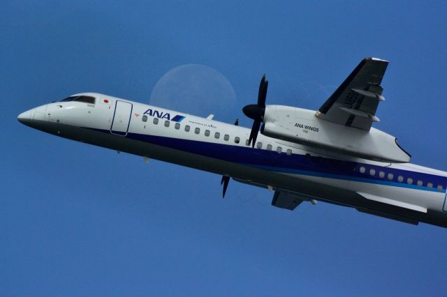 de Havilland Dash 8-200 (ANA1821)