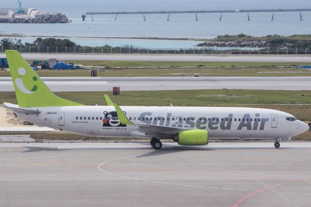 Boeing 737-800 (JA812X)