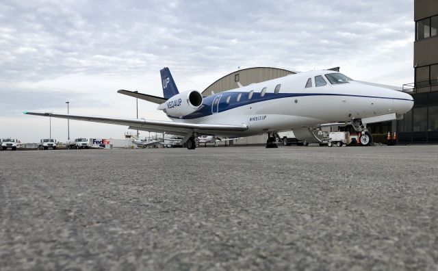 Cessna Citation Excel/XLS (N504UP)