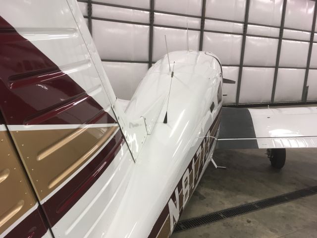 Piper Cherokee (N81713) - Standing by the tail in the same hangar as N4217T and N7967C.