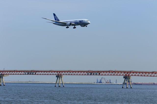 Boeing 787-8 (JA811A)