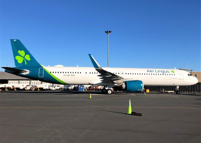 Airbus A321neo (EI-LRC) - NEO