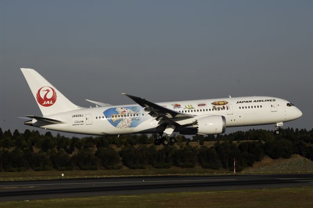 Boeing 787-8 (JA828J) - Final Approach to Narita Intl Airport R/W16L on 2011/11/03 "Ziburi c/s"