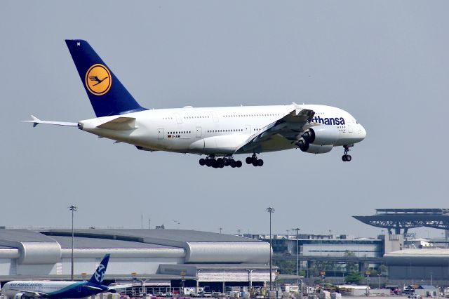 Airbus A380-800 (D-AIMI)