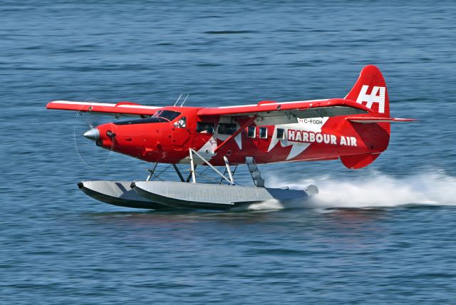 De Havilland Canada DHC-3 Otter (C-FODH)