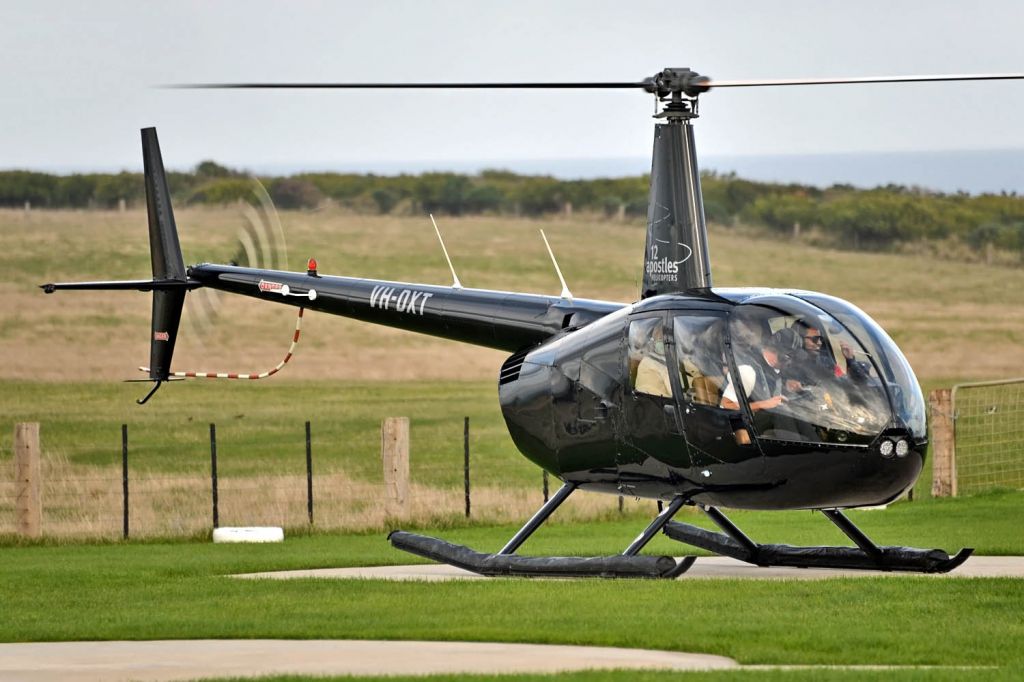 Robinson R-44 (VH-DXT)