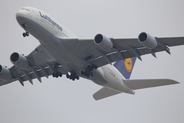 Airbus A380-800 (D-AIMJ)