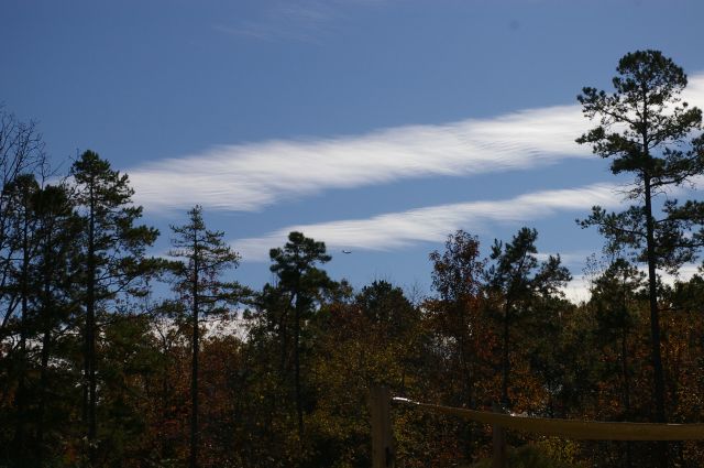 Boeing B-17 Flying Fortress (N5017N) - Flying by my home in Monroe, NC.