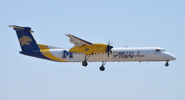 de Havilland Dash 8-400 (N403QX) - N403QX, the Montana State "Bobcats" special livery on final to runway 20R from Reno. They stayed a bit higher than normal on approach which made for a great shot with no buildings in the background. A lot of times the buildings make a nice backdrop, but since it has been so hot lately they are usually distorted and covered with a thin layer of heat haze resulting in a less than optimal background.