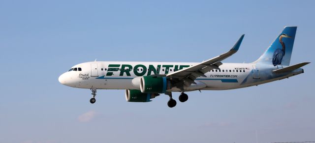 Airbus A320neo (N334FR) - About to touch down is this 2018 Frontier Airlines Airbus 320-251N with "Stretch" the Great Blue Heron getting the tail view in the Autumn of 2023.