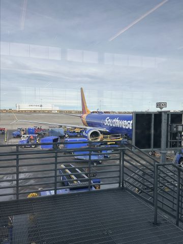 Boeing 737 MAX 8 (N8923Q) - Standing from inside the terminal