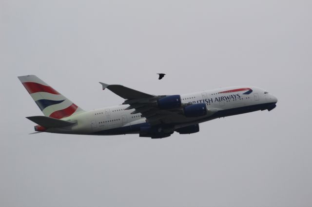 Airbus A380-800 (G-XLEL) - A Recently de-iced British Airways A380-800 taking off from LHR, taking off from ruwnay 09R.br /br /Location: Great South-West Road.br /Date: 18.12.22 (dd/mm/yy).