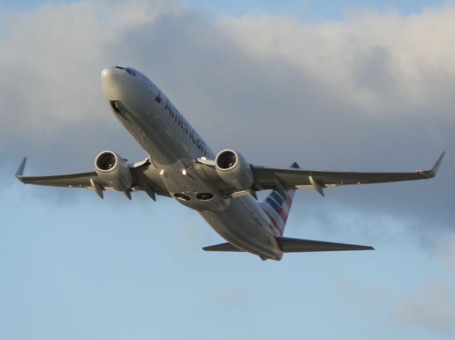 Boeing 737-800 (N833NN)