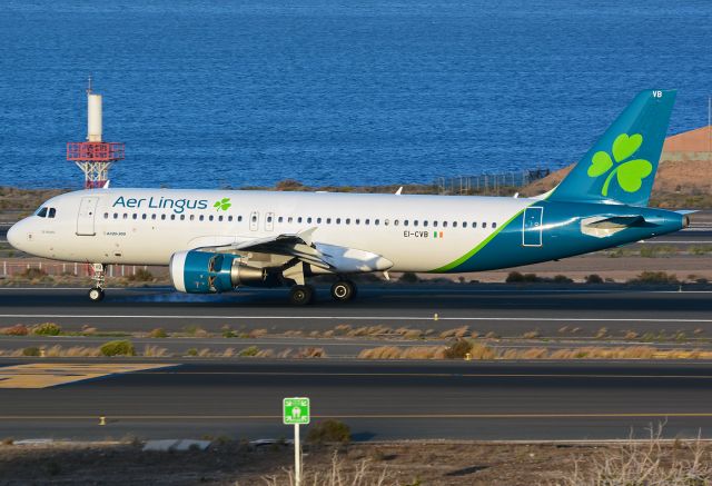 Airbus A320 (EI-CVB)