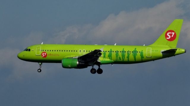 Airbus A320 (VQ-BDF) - Final approach to NRT(Narita) Rwy34R.br /from Terminal2 observation deck.(2016/01/07)