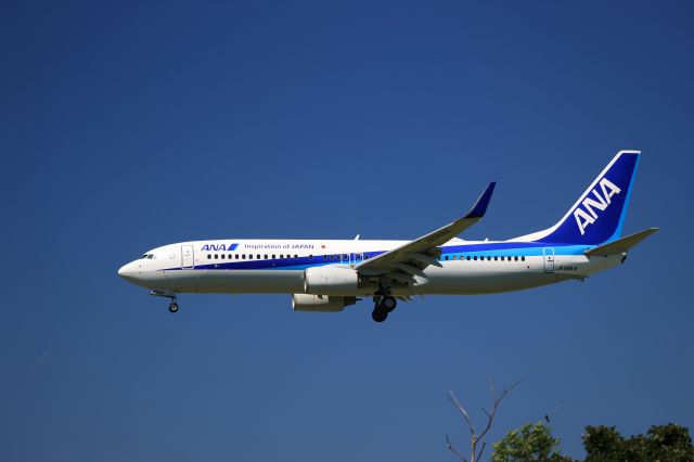 Boeing 737-800 (JA58AN) - July 18th 2021:ITM-HKD.