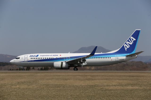 Boeing 737-800 (JA62AN) - 10 April 2016:ITM-HKD.