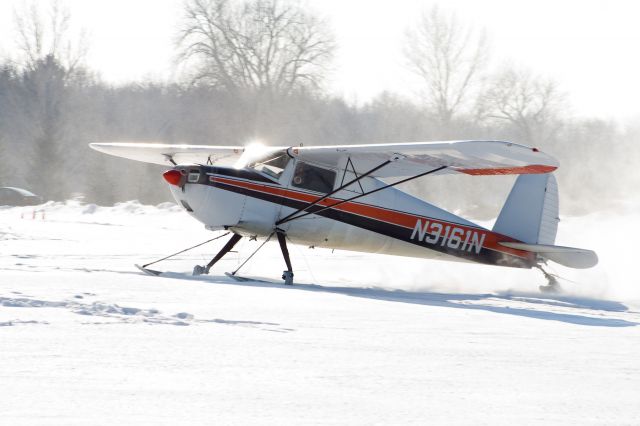 Cessna 120 (N3161N)