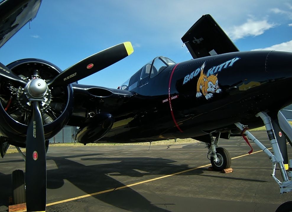 N6178C — - July 12, 2013, Grangeville, Idahobr /"Warbird Weekend"