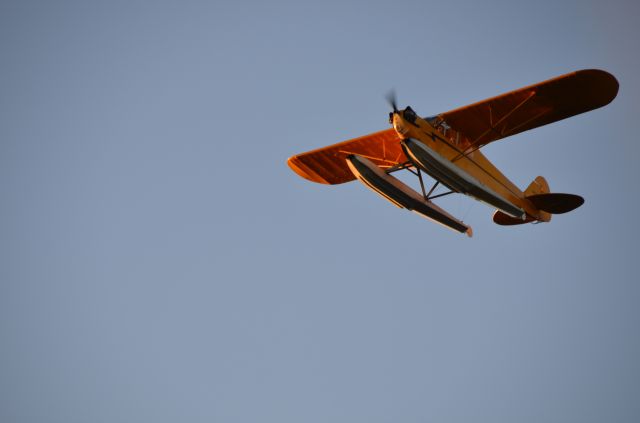 Piper NE Cub — - Jack Brown Sea Plane Base