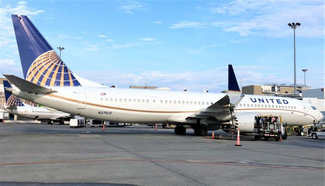 Boeing 737 MAX 9 (N37510) - New Marx 900