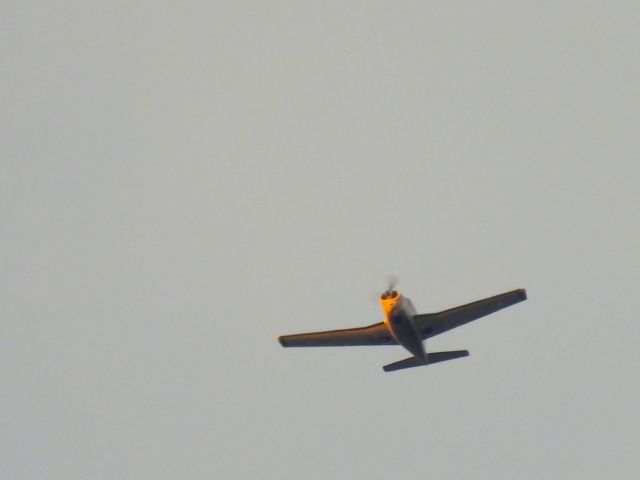 Piper PA-24 Comanche (N8011P) - PCW-RQObr /09/29/21