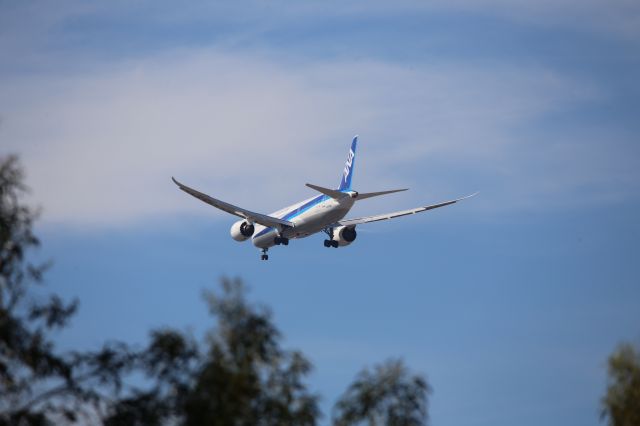 Boeing 787-9 Dreamliner (JA876A)