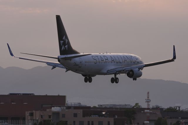 Boeing 737-800 (JA51AN)