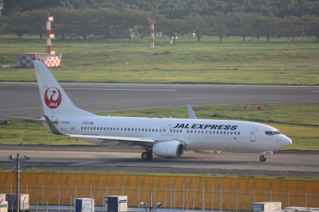 Boeing 737-800 (JA309J)