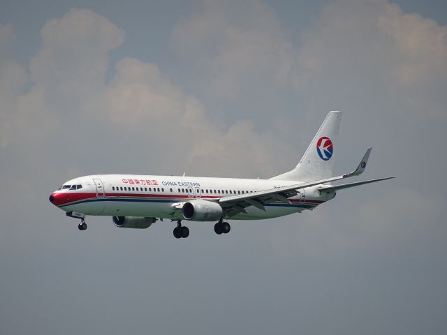 Boeing 737-800 (B-5493)