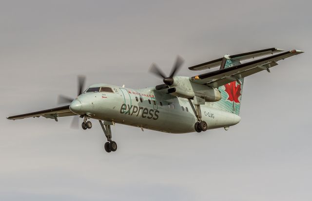 de Havilland Dash 8-100 (C-GJIG)