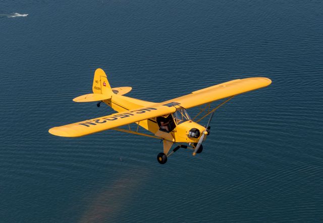 Piper NE Cub (NC1502N)