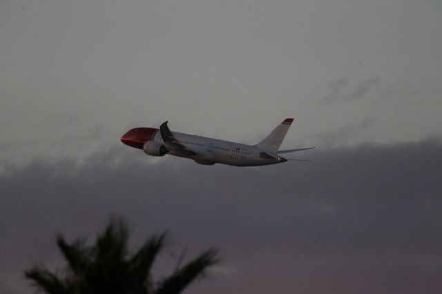 Boeing 787-8 (LN-LNC)