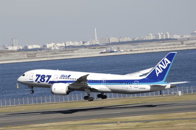 Boeing 787-8 (JA803A) - Takeoff at Haneda Intl Airport Rwy34R on 2012/11/16